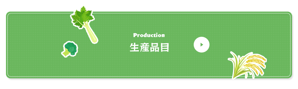 bn_production